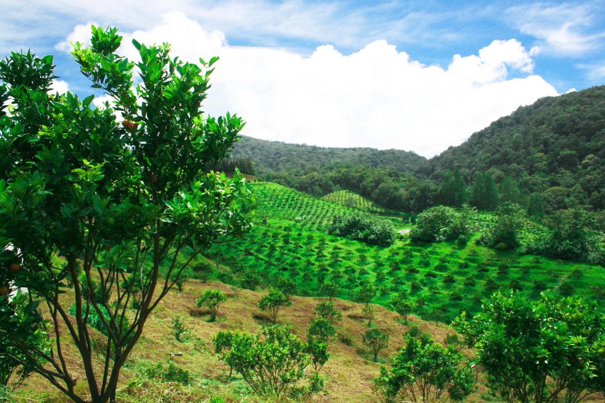Taman Simalem Resort Tongging ภายนอก รูปภาพ