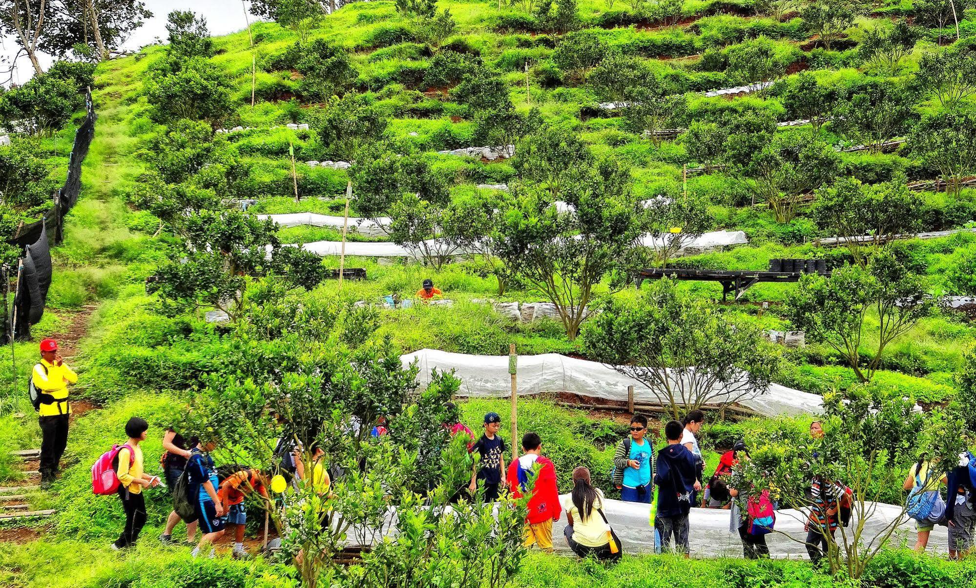 Taman Simalem Resort Tongging ภายนอก รูปภาพ
