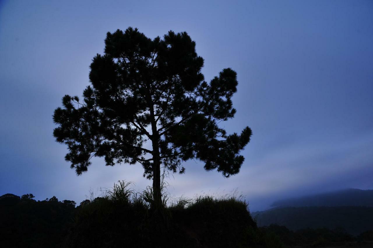 Taman Simalem Resort Tongging ภายนอก รูปภาพ
